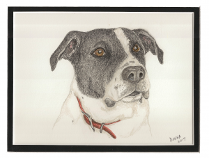 dog portrait of Cochise
