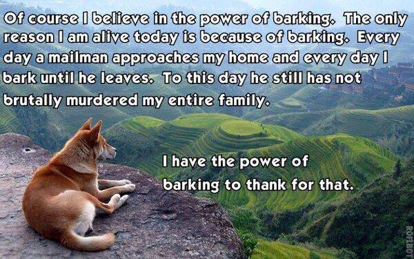 Dog_power of barking