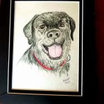 dog portraits