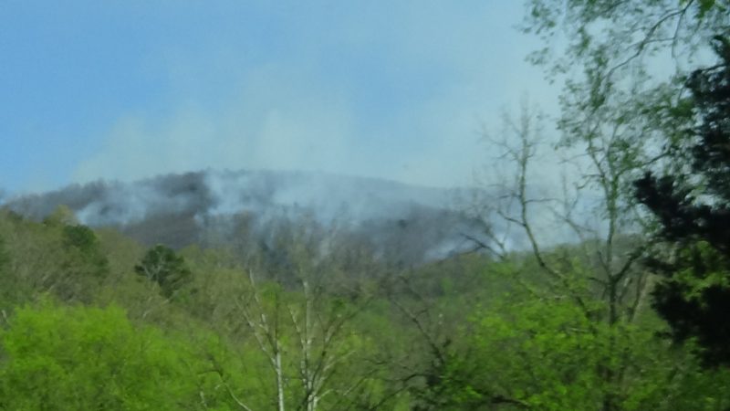 chicken hollow fire