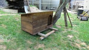 dog cabin on foundation
