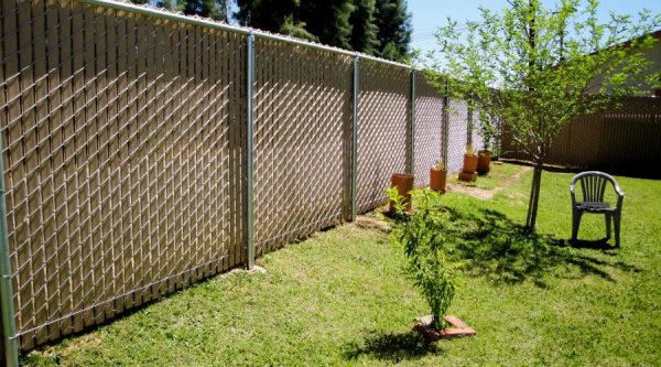 privacy fence reduces interest in dog escapes