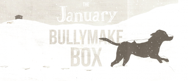 1 Month Subscription - Bullymake Box - A Dog Subscription Box For