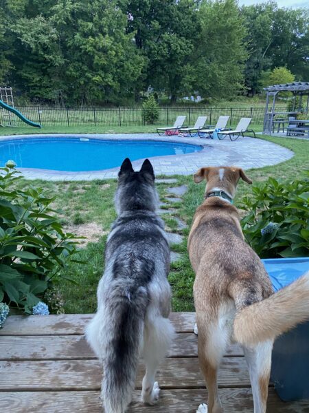 Zoey sees the pool